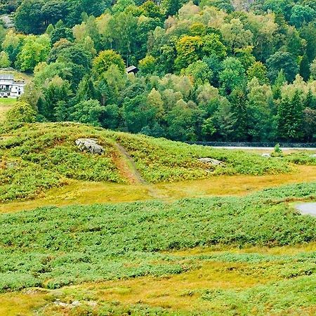 Pollys Cottage 艾尔特湖 外观 照片